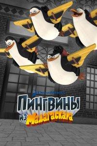 Пингвины из Мадагаскара (1-3 сезон)
